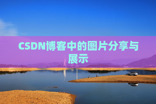 CSDN博客中的图片分享与展示